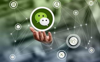 面條營銷顧問 運用互聯網技術，四種打通渠道的策略詳解